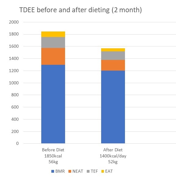 TDEE before and after diet